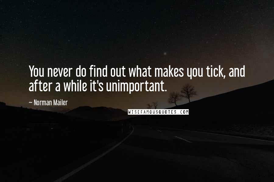 Norman Mailer Quotes: You never do find out what makes you tick, and after a while it's unimportant.