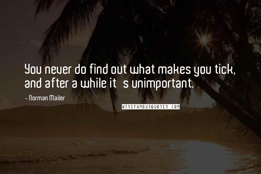Norman Mailer Quotes: You never do find out what makes you tick, and after a while it's unimportant.
