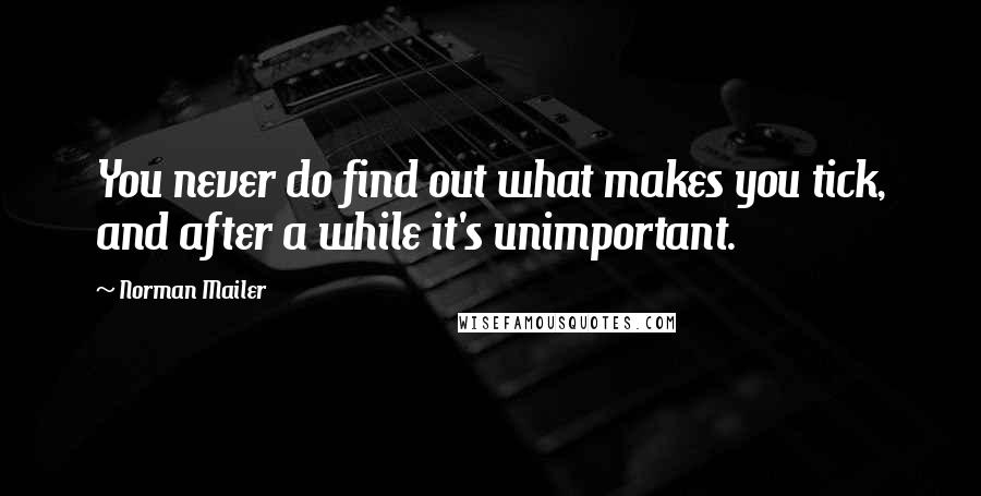 Norman Mailer Quotes: You never do find out what makes you tick, and after a while it's unimportant.