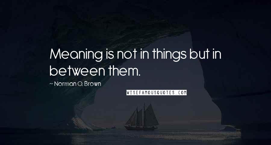 Norman O. Brown Quotes: Meaning is not in things but in between them.