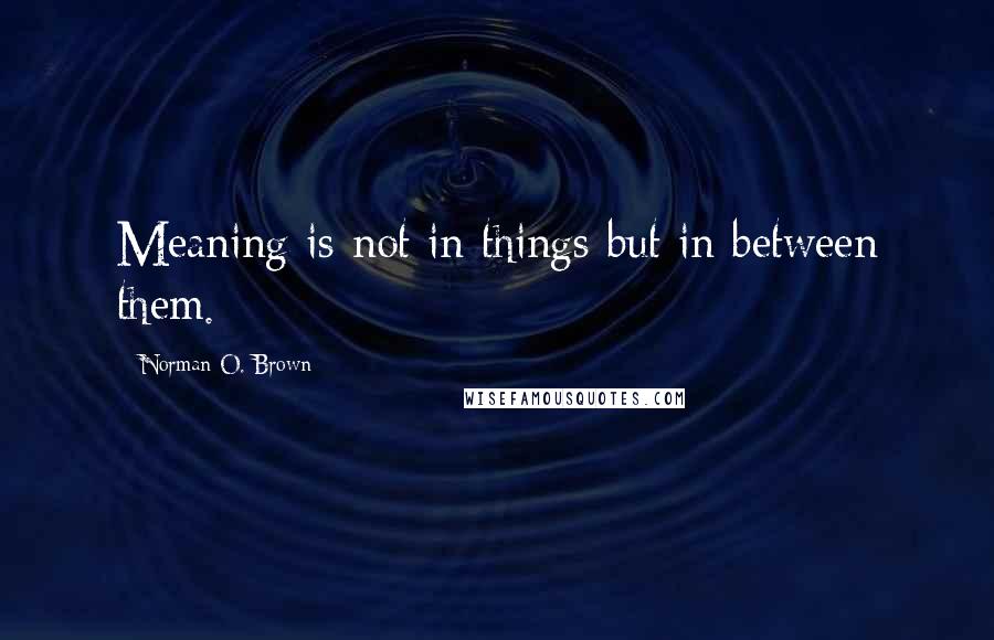 Norman O. Brown Quotes: Meaning is not in things but in between them.