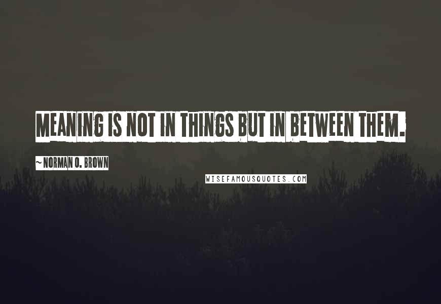 Norman O. Brown Quotes: Meaning is not in things but in between them.