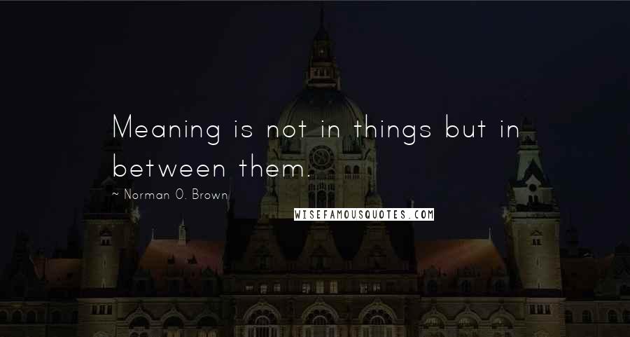 Norman O. Brown Quotes: Meaning is not in things but in between them.