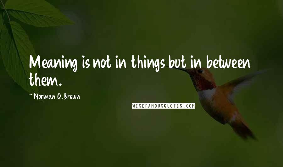 Norman O. Brown Quotes: Meaning is not in things but in between them.