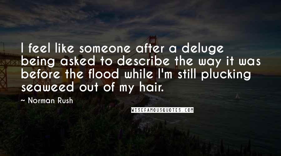 Norman Rush Quotes: I feel like someone after a deluge being asked to describe the way it was before the flood while I'm still plucking seaweed out of my hair.