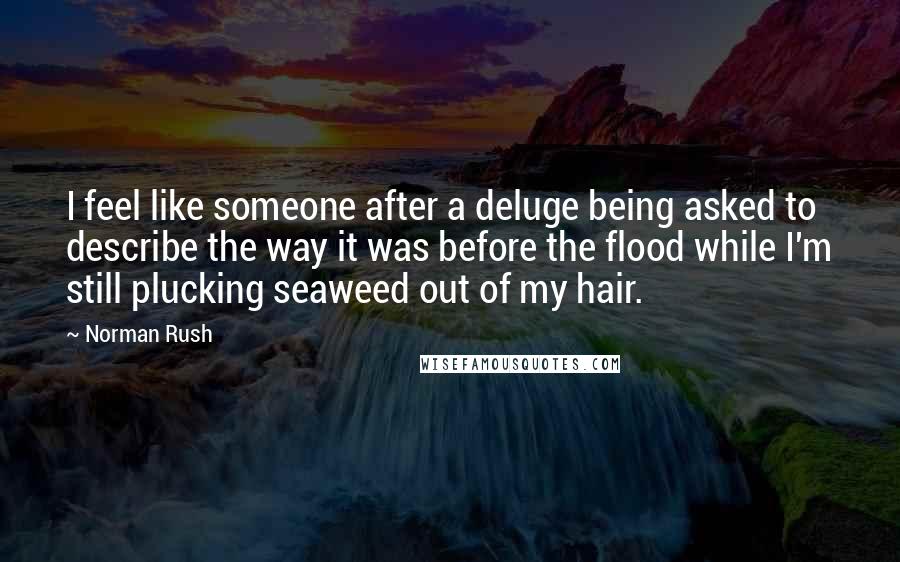 Norman Rush Quotes: I feel like someone after a deluge being asked to describe the way it was before the flood while I'm still plucking seaweed out of my hair.