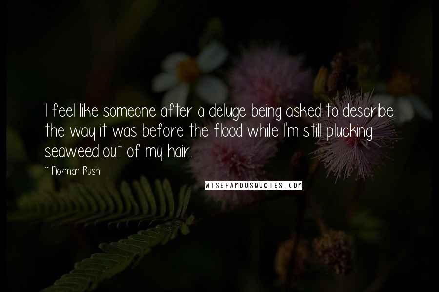 Norman Rush Quotes: I feel like someone after a deluge being asked to describe the way it was before the flood while I'm still plucking seaweed out of my hair.