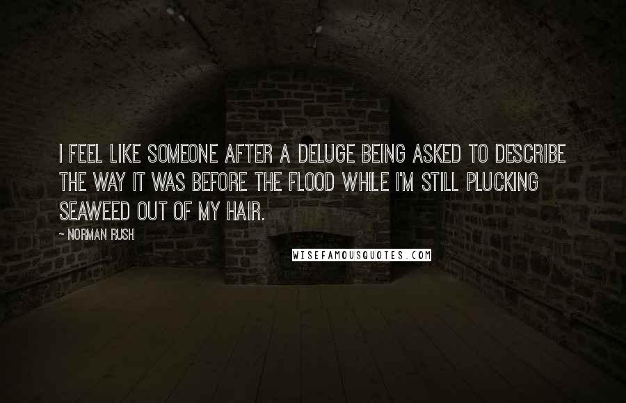 Norman Rush Quotes: I feel like someone after a deluge being asked to describe the way it was before the flood while I'm still plucking seaweed out of my hair.