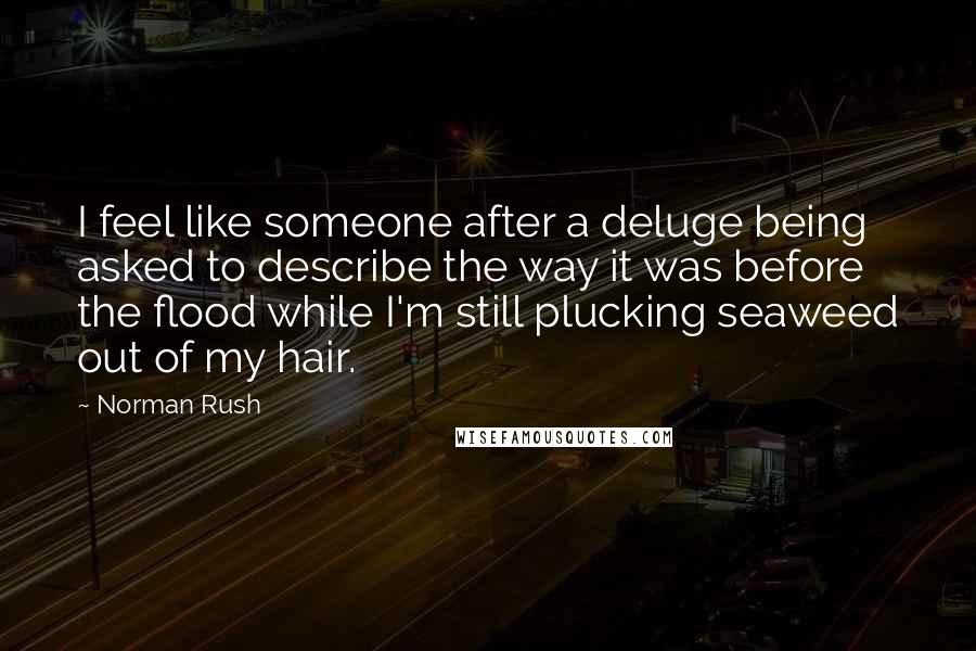 Norman Rush Quotes: I feel like someone after a deluge being asked to describe the way it was before the flood while I'm still plucking seaweed out of my hair.