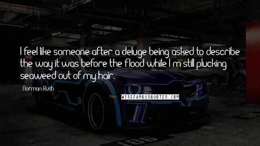 Norman Rush Quotes: I feel like someone after a deluge being asked to describe the way it was before the flood while I'm still plucking seaweed out of my hair.