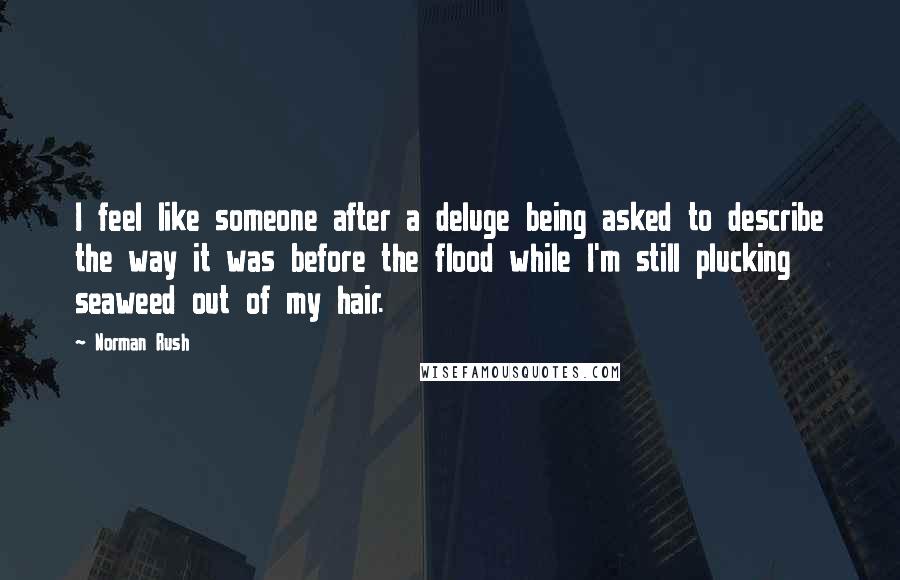 Norman Rush Quotes: I feel like someone after a deluge being asked to describe the way it was before the flood while I'm still plucking seaweed out of my hair.