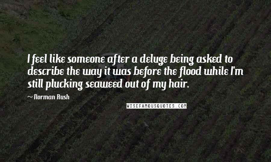 Norman Rush Quotes: I feel like someone after a deluge being asked to describe the way it was before the flood while I'm still plucking seaweed out of my hair.