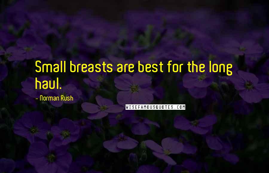 Norman Rush Quotes: Small breasts are best for the long haul.