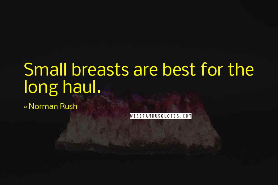 Norman Rush Quotes: Small breasts are best for the long haul.
