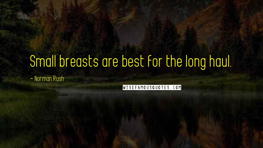 Norman Rush Quotes: Small breasts are best for the long haul.