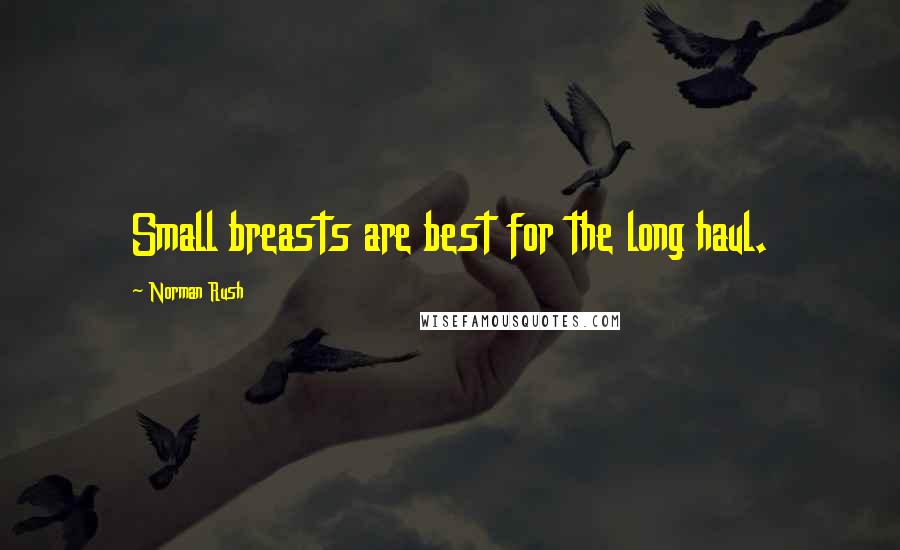 Norman Rush Quotes: Small breasts are best for the long haul.