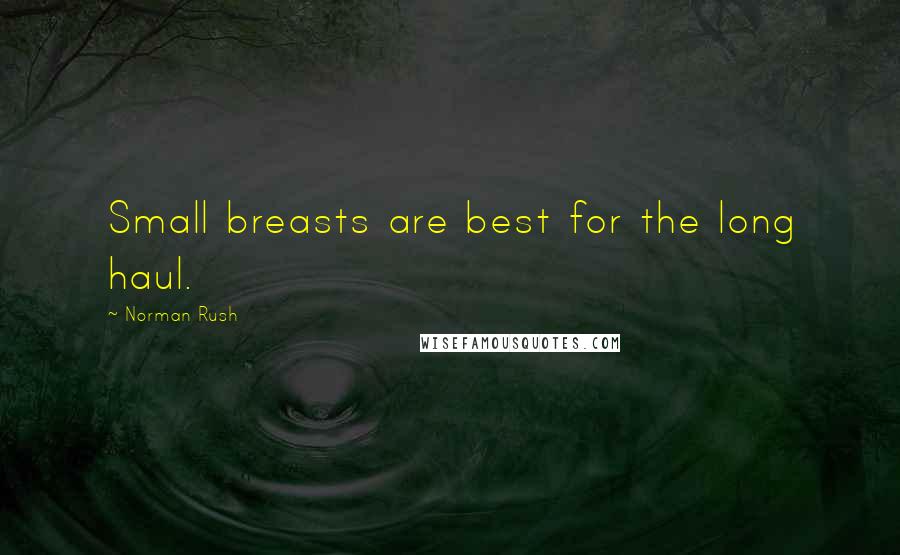 Norman Rush Quotes: Small breasts are best for the long haul.