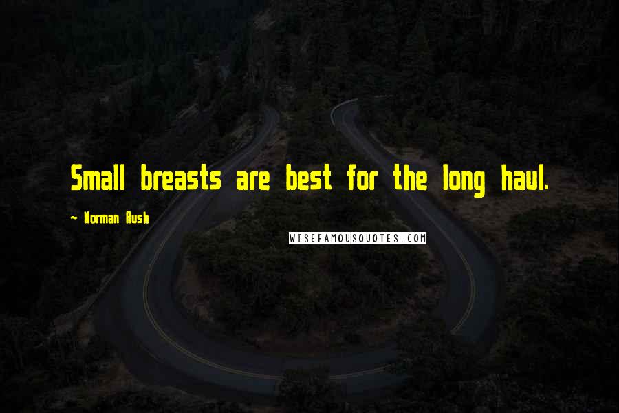 Norman Rush Quotes: Small breasts are best for the long haul.