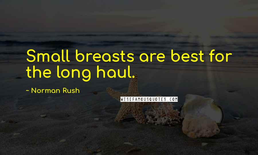 Norman Rush Quotes: Small breasts are best for the long haul.