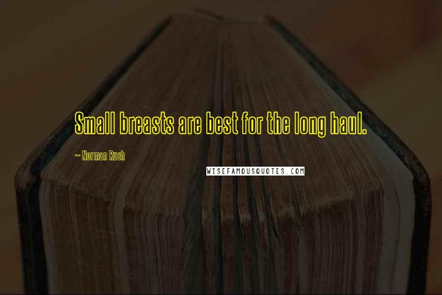 Norman Rush Quotes: Small breasts are best for the long haul.