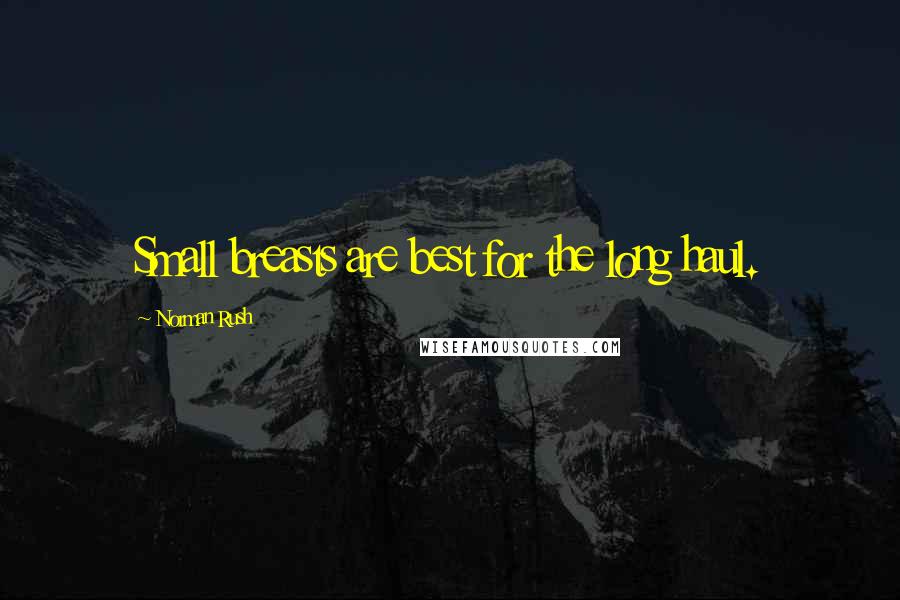 Norman Rush Quotes: Small breasts are best for the long haul.