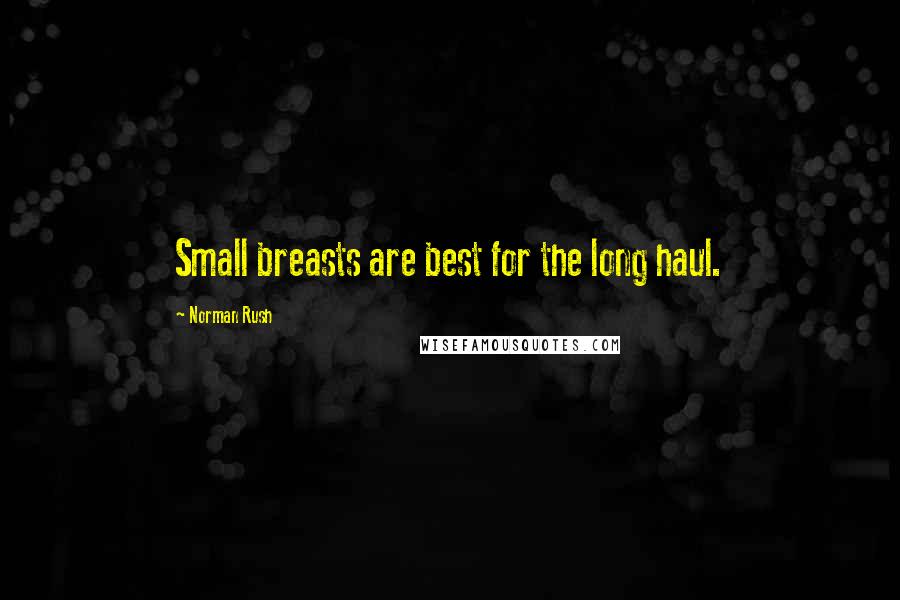Norman Rush Quotes: Small breasts are best for the long haul.