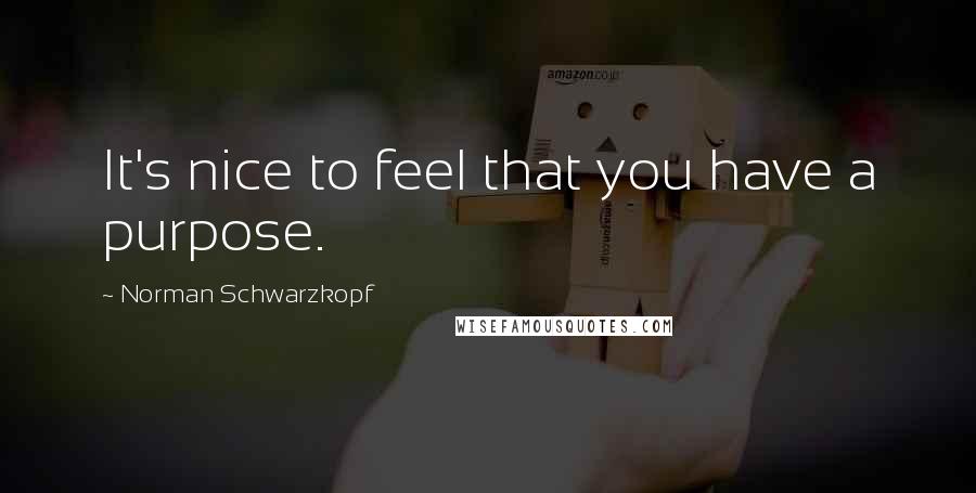 Norman Schwarzkopf Quotes: It's nice to feel that you have a purpose.