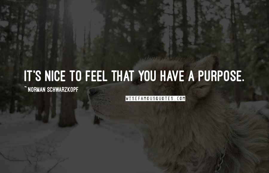 Norman Schwarzkopf Quotes: It's nice to feel that you have a purpose.