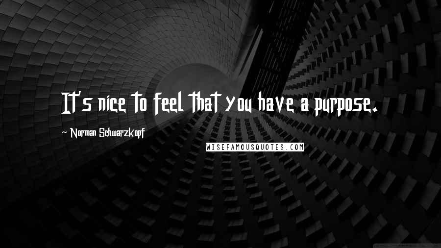 Norman Schwarzkopf Quotes: It's nice to feel that you have a purpose.