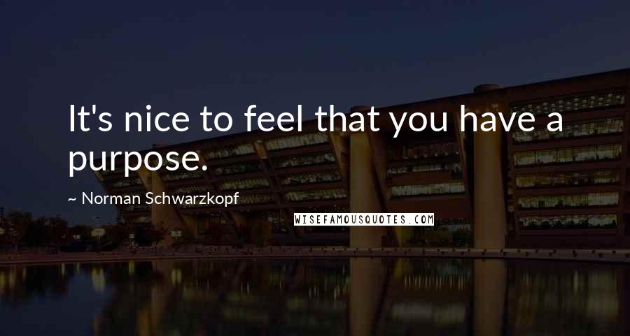 Norman Schwarzkopf Quotes: It's nice to feel that you have a purpose.