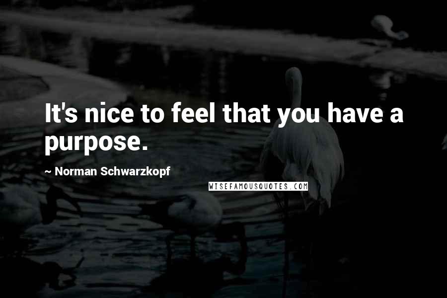 Norman Schwarzkopf Quotes: It's nice to feel that you have a purpose.