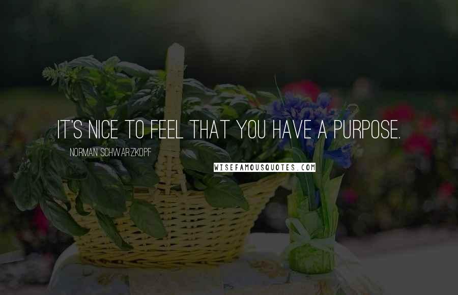 Norman Schwarzkopf Quotes: It's nice to feel that you have a purpose.