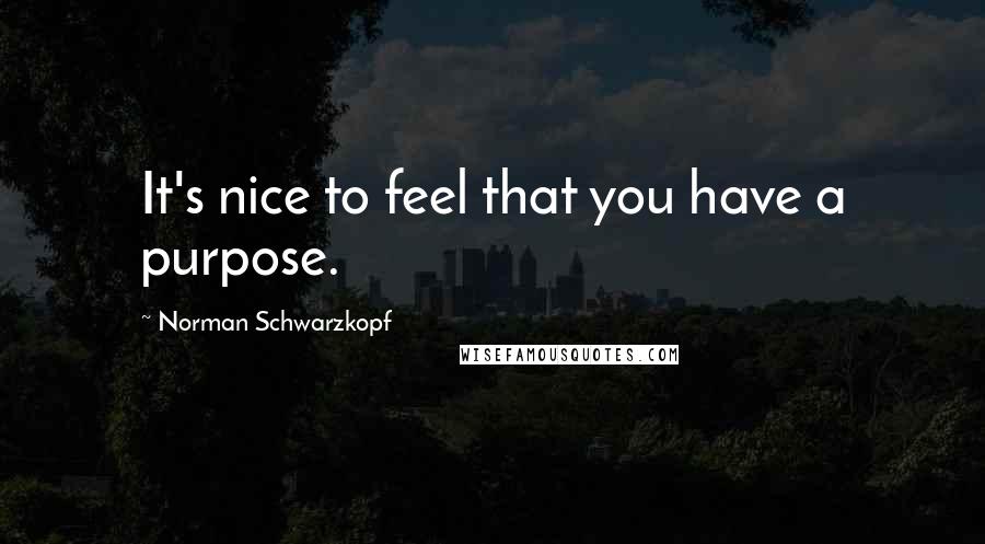 Norman Schwarzkopf Quotes: It's nice to feel that you have a purpose.