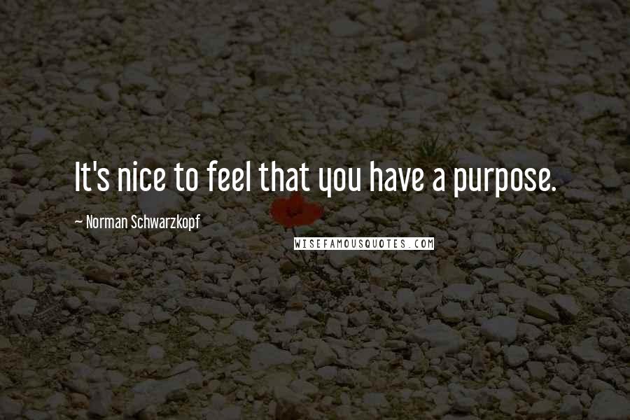 Norman Schwarzkopf Quotes: It's nice to feel that you have a purpose.