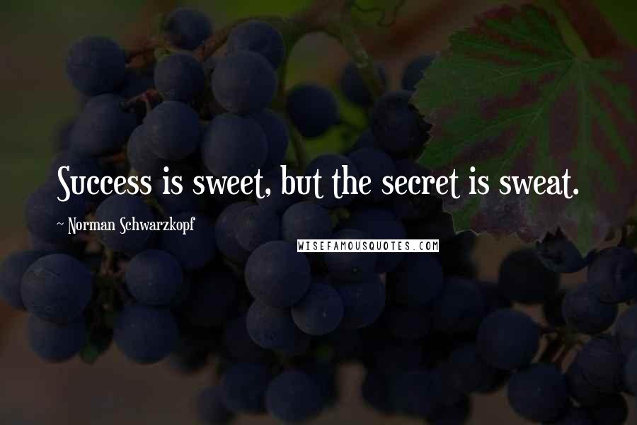 Norman Schwarzkopf Quotes: Success is sweet, but the secret is sweat.