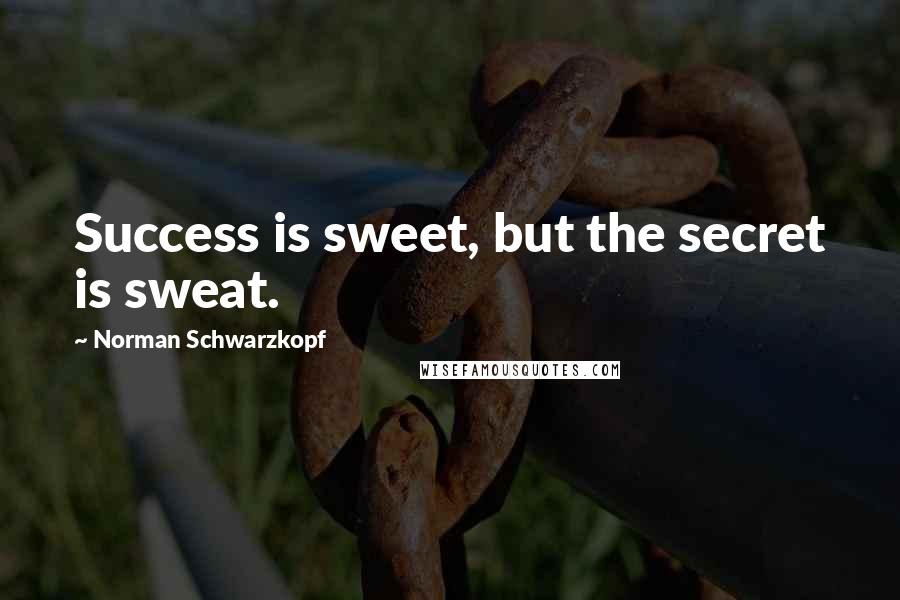 Norman Schwarzkopf Quotes: Success is sweet, but the secret is sweat.