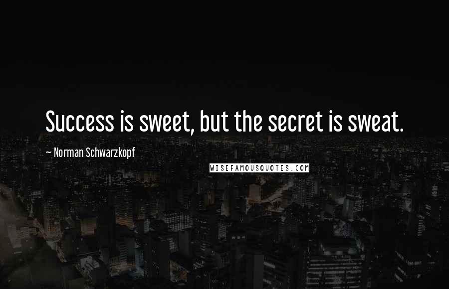 Norman Schwarzkopf Quotes: Success is sweet, but the secret is sweat.