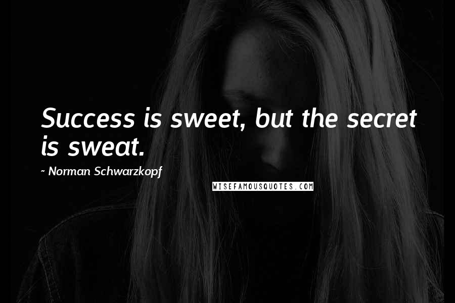 Norman Schwarzkopf Quotes: Success is sweet, but the secret is sweat.