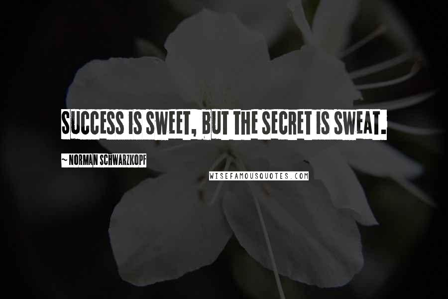 Norman Schwarzkopf Quotes: Success is sweet, but the secret is sweat.