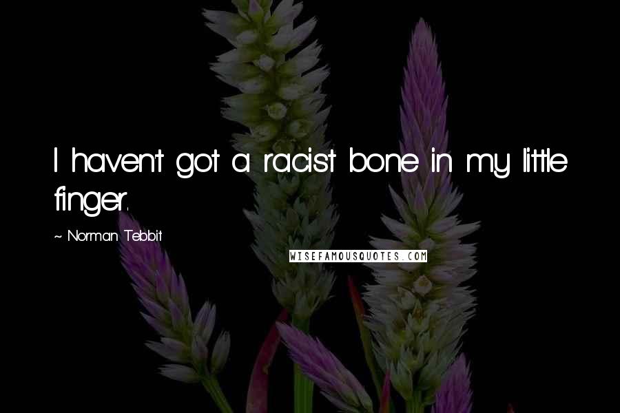 Norman Tebbit Quotes: I haven't got a racist bone in my little finger.