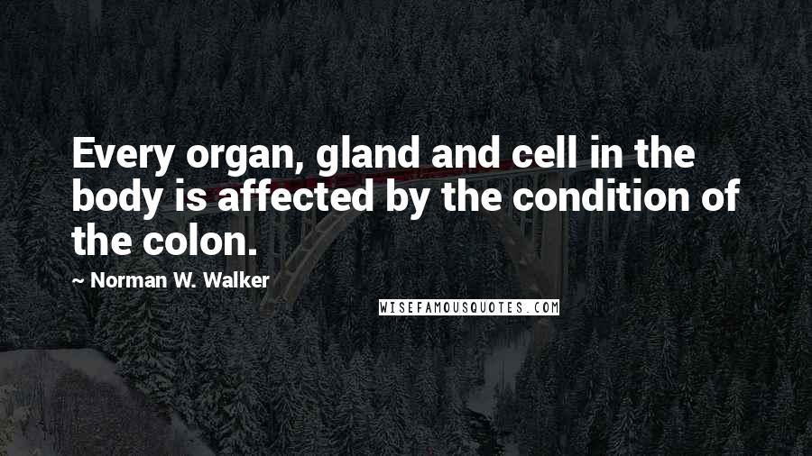 Norman W. Walker Quotes: Every organ, gland and cell in the body is affected by the condition of the colon.