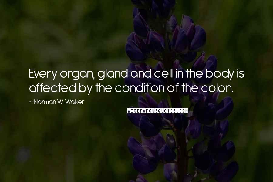 Norman W. Walker Quotes: Every organ, gland and cell in the body is affected by the condition of the colon.