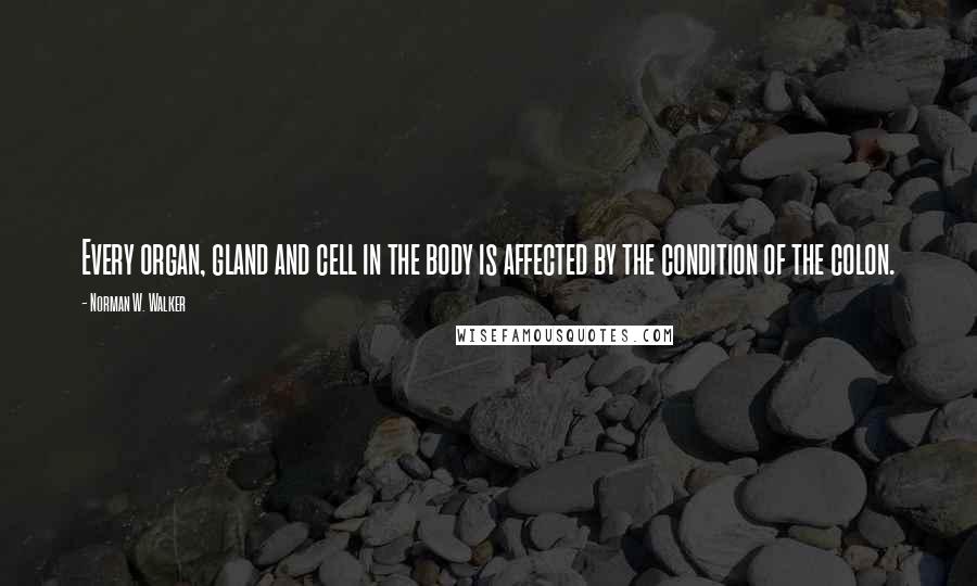 Norman W. Walker Quotes: Every organ, gland and cell in the body is affected by the condition of the colon.