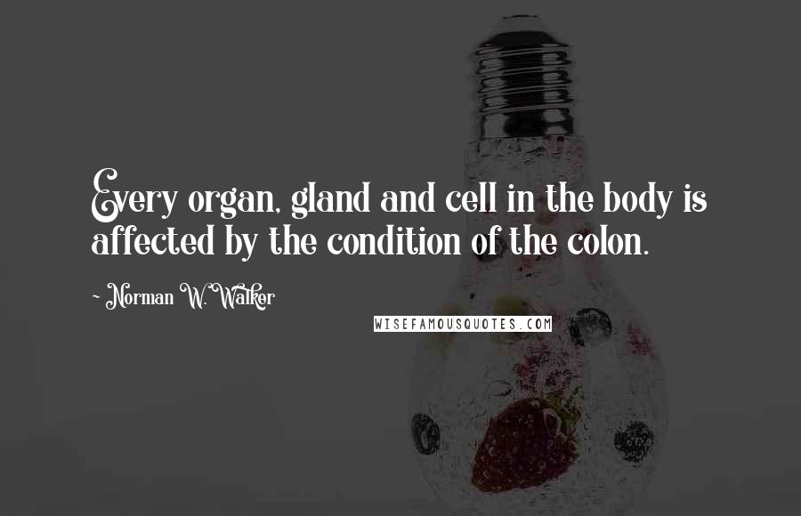 Norman W. Walker Quotes: Every organ, gland and cell in the body is affected by the condition of the colon.