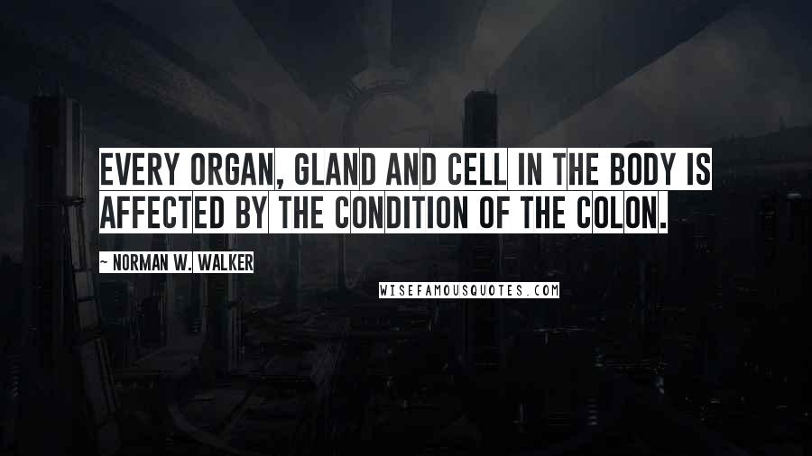 Norman W. Walker Quotes: Every organ, gland and cell in the body is affected by the condition of the colon.
