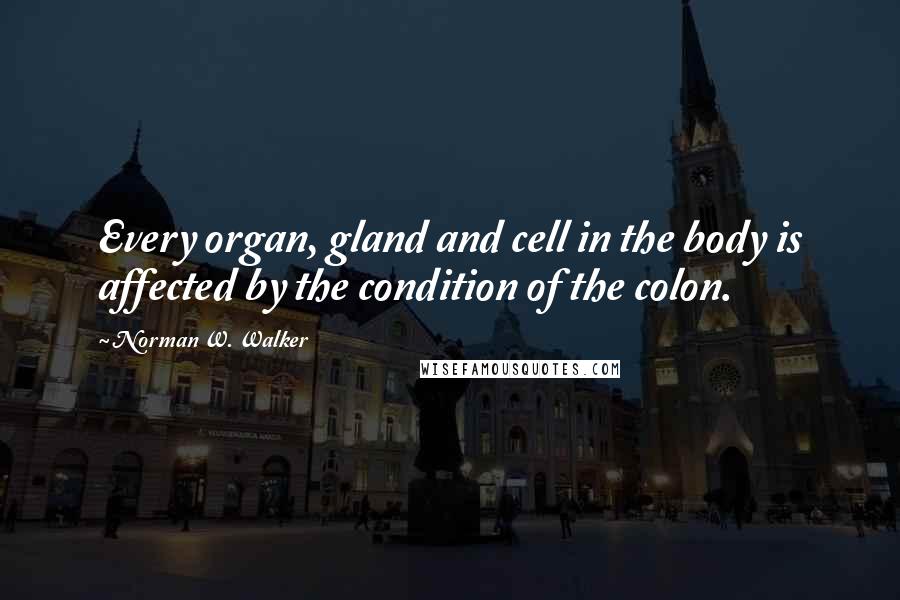 Norman W. Walker Quotes: Every organ, gland and cell in the body is affected by the condition of the colon.