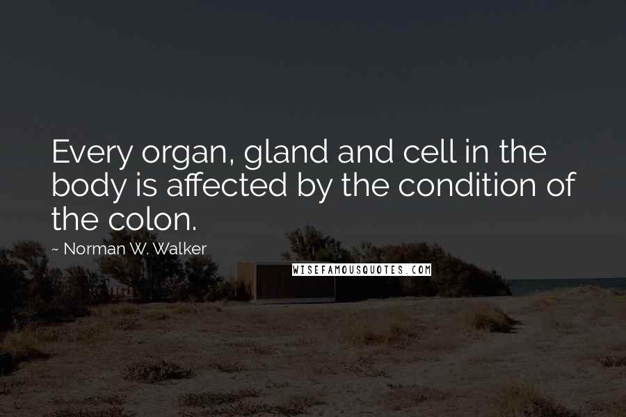Norman W. Walker Quotes: Every organ, gland and cell in the body is affected by the condition of the colon.