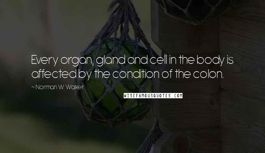 Norman W. Walker Quotes: Every organ, gland and cell in the body is affected by the condition of the colon.