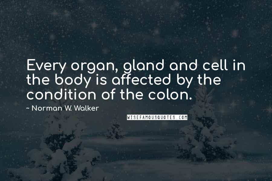 Norman W. Walker Quotes: Every organ, gland and cell in the body is affected by the condition of the colon.