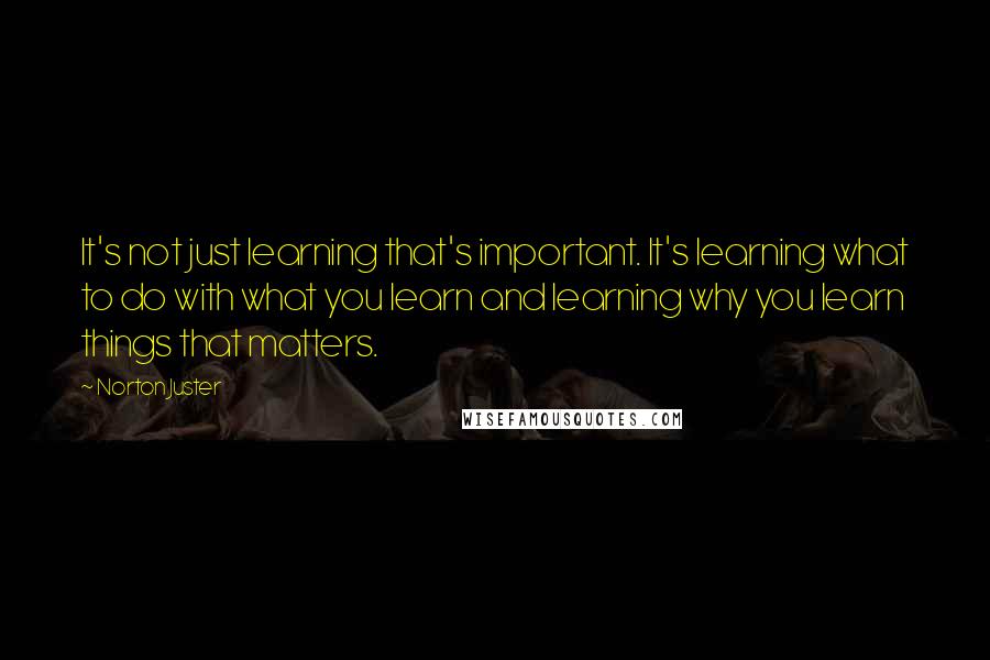 Norton Juster Quotes: It's not just learning that's important. It's learning what to do with what you learn and learning why you learn things that matters.